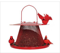 Product review of cardinal bird feeder.