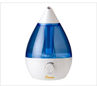 Product review of cool mist humidifier.