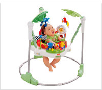Product review of fisher price rainforest.