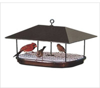 Product review of platform bird feeder.